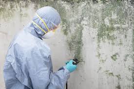 Why You Should Choose Our Mold Remediation Services in Carey, OH